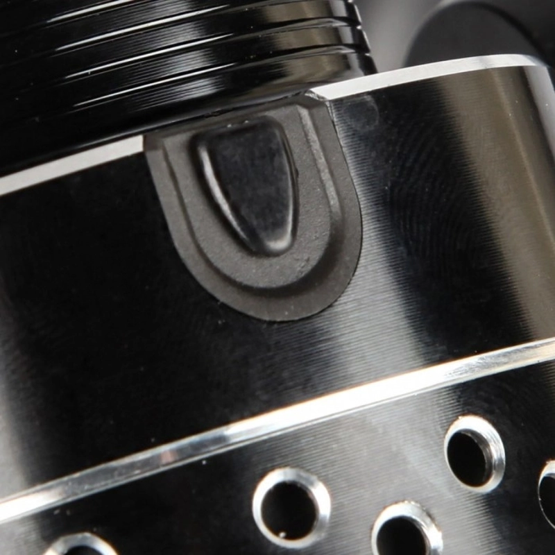 Daiwa Regal BR Reels